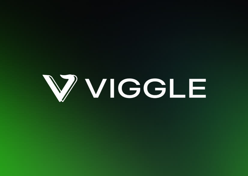 Viggle 展示页面预览