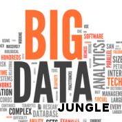 @bigdatajungle