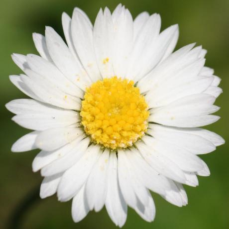 @DMPRO-2015-convolution