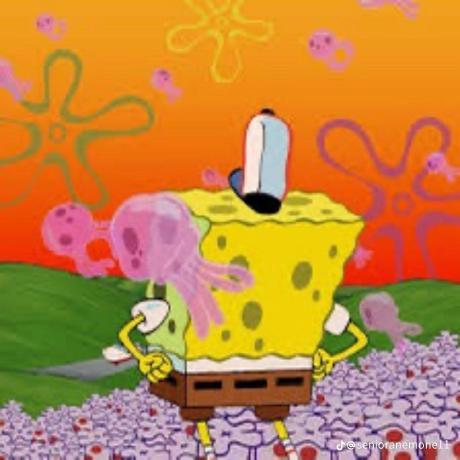 @nobodywantsmenearservers