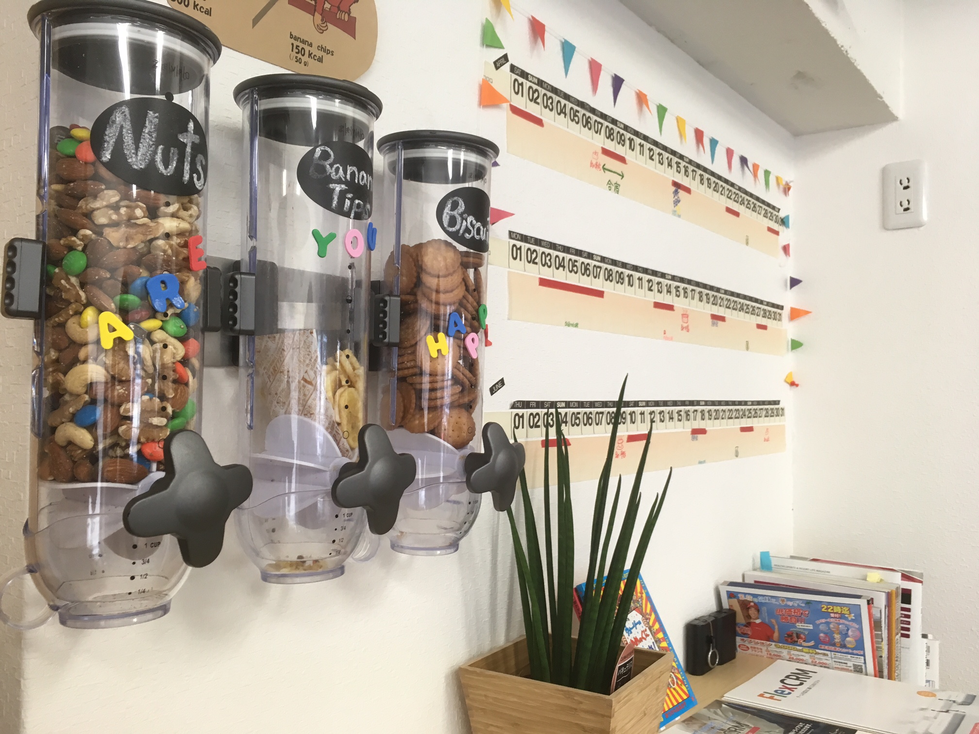 株式会社INAP Vision