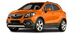 Problem solving with Fuel Filter in your OPEL MOKKA