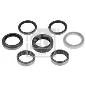 Lastwagen Reparatursatz, Antriebswellenlagerung