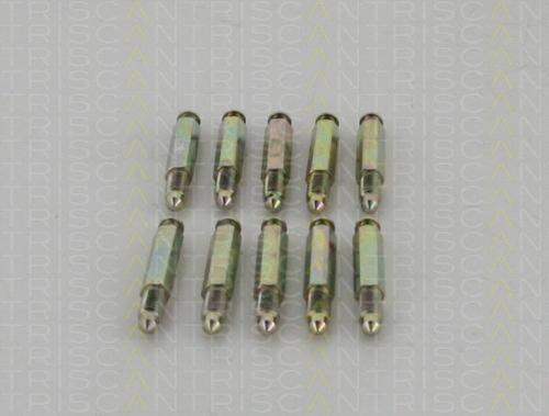 Entlüfterschraube / -ventil, Radbremszylinder