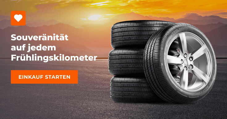 Sonstiges (bitte angeben):