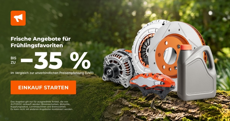 <br>Bist du mit der Teilnahme an dieser Umfrage einverstanden?