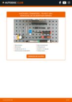 BOSCH ZQR 8 SI 302 für 308 I Schrägheck (4A_, 4C_) | PDF Handbuch zum Wechsel