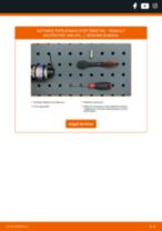 Papildomas stop žibintas RENAULT Master Pro Van (FH__) 2007 | PDF keitimo instrukcija