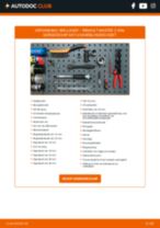 Wiellager set vóór en achter RENAULT MASTER II Bestelwagen (FD) 2014 | PDF tutorial voor vervanging