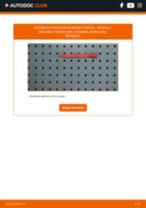 Indikatorius kairė/dešinė + gale/priekyje RENAULT MEGANE I Coach (DA0/1_) 2023 | PDF keitimo instrukcija