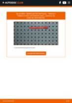 Semnalizator stânga/dreapta + spate/față RENAULT Twingo II Van / Hatchback (CNO_) 2000 | PDF ghid de înlocuire