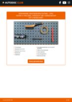 TYC 15-0313-00-2 voor Vivaro A Van (X83) | PDF guide voor vervanging