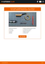 OLSA 75044 eest Vivaro A Van (X83) | PDF asendamise õpetused