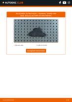 VEMO V46-30-1066 pentru Vivaro Van (X83) | PDF manualul de înlocuire