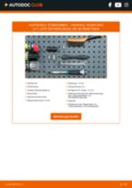 TOPRAN 207 558 für VIVARO Combi (J7) | PDF Tutorial zum Austausch