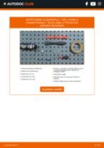 JUMASA 62324074 per Vivaro A Camion pianale / Telaio (X83) | PDF istruzioni di sostituzione