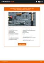 SKF VKDL 33704 už Vivaro Van (X83) | PDF keitimo vadovas