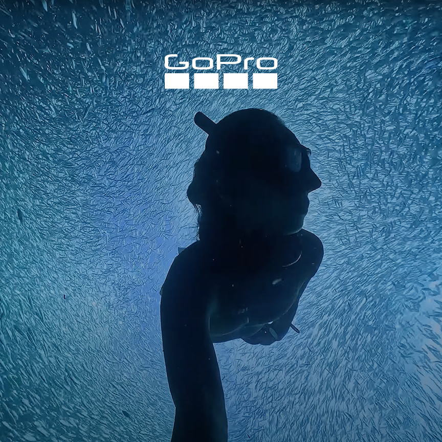 GoPro