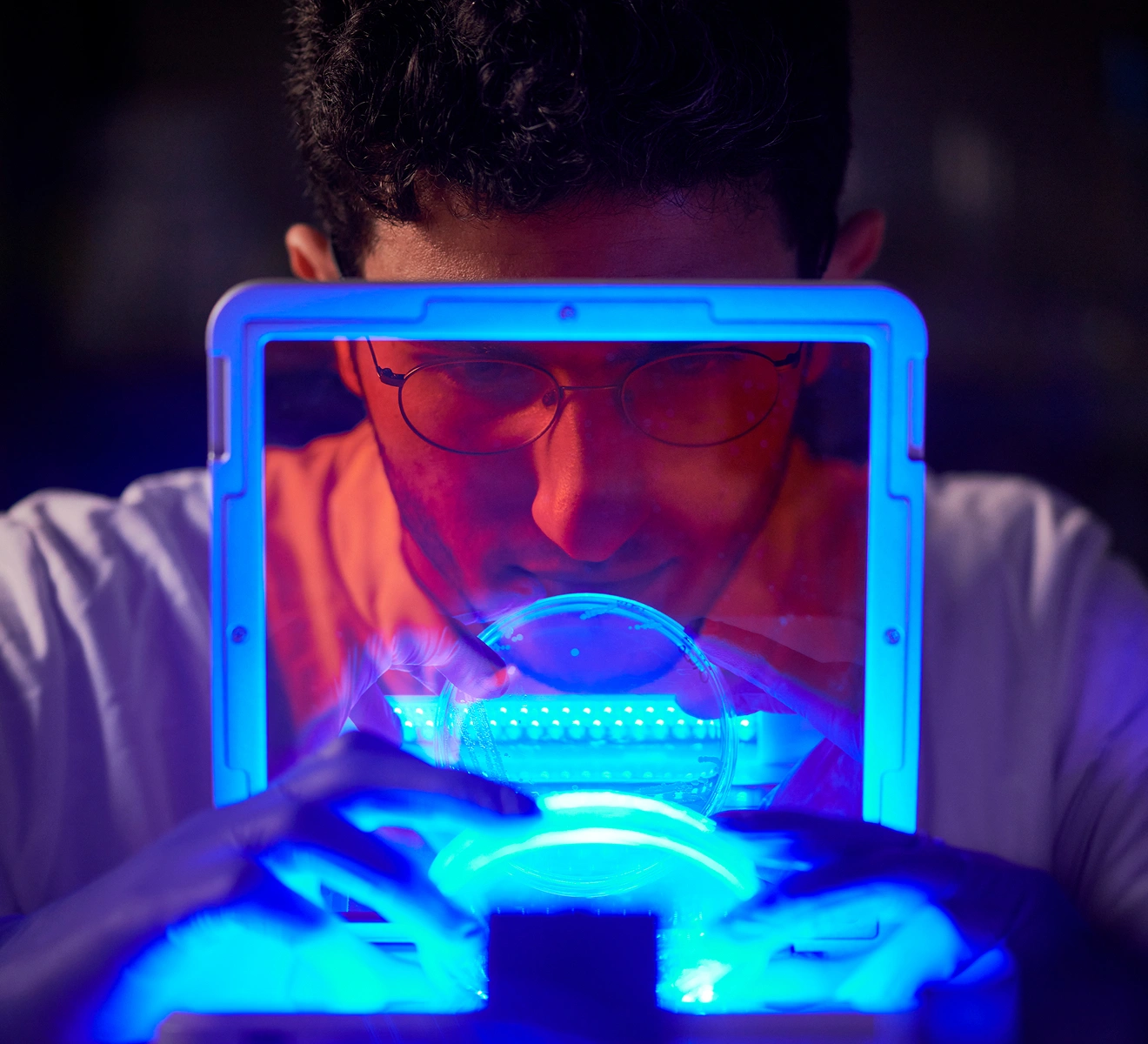 Discovery Image 2