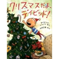 クリスマスだよ、デイビッド! 評論社の児童図書館・絵本の部屋