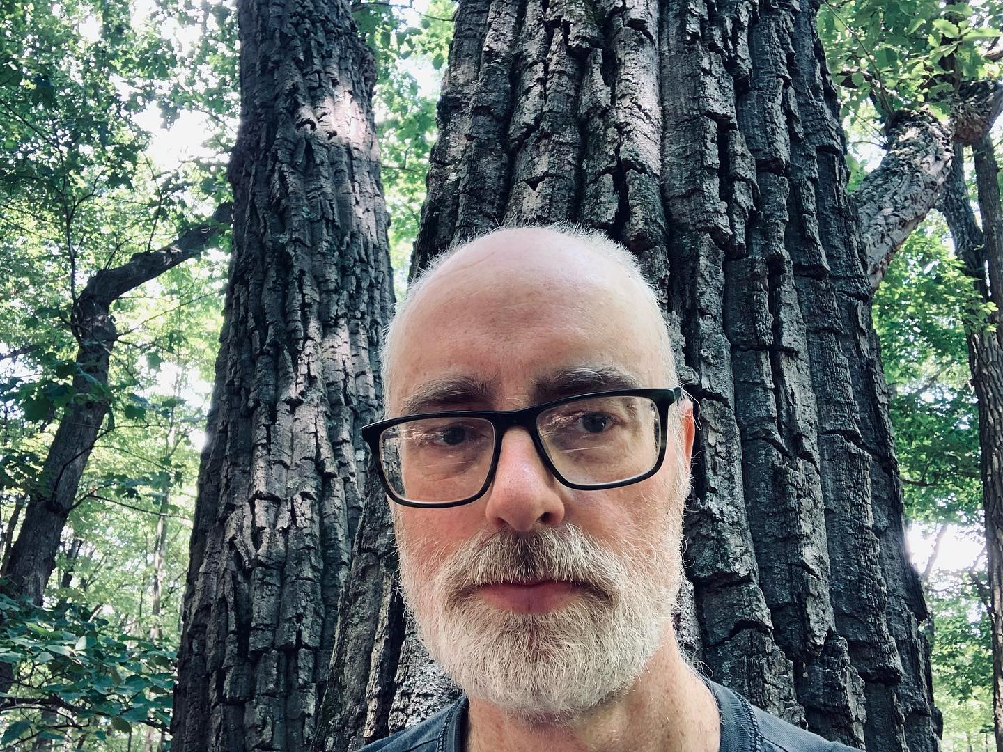 close-up of author's face in front of chestnut oak in the woods