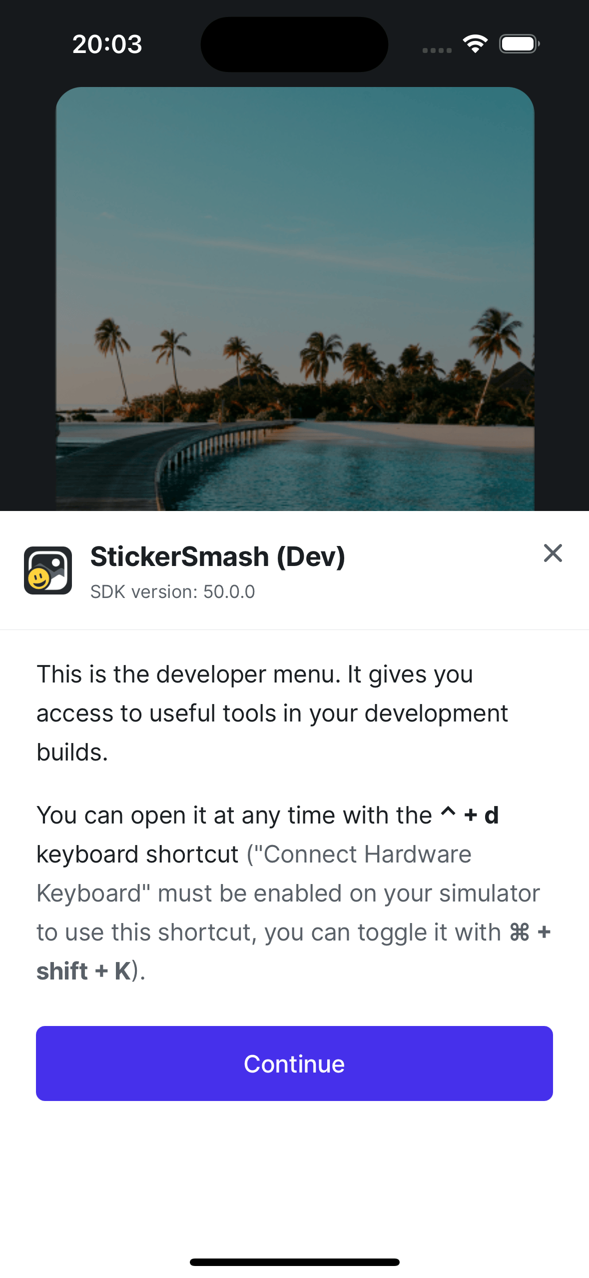 Development variant running on Android device.