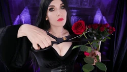 KittyKlaw - Morticia