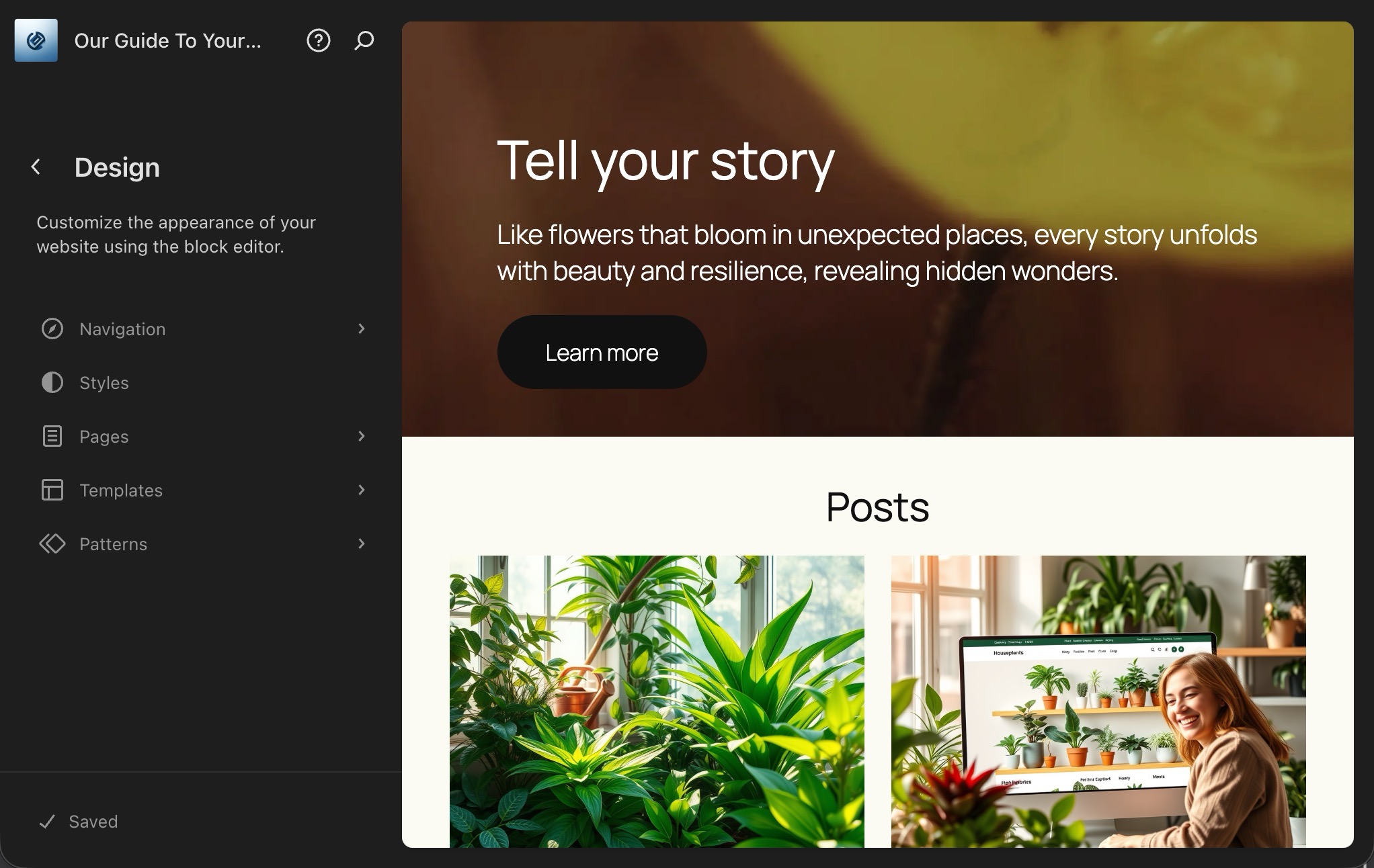 首次打开时的站点编辑器,左侧显示“设计”菜单,右侧呈现站点主页的预览。