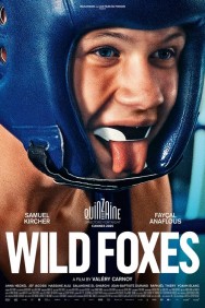 Wild Foxes Wild Foxes
