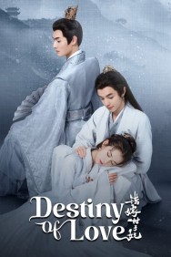 Destiny of Love Destiny of Love