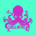 A Shell in the Pit image