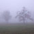 gloomy_fog13 thumbnail