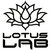 Lotus Lab Events thumbnail