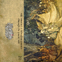 Through the Forest Vale cover art