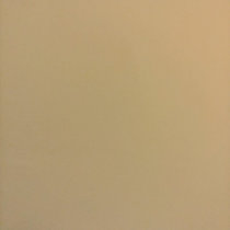 MayorOfPosen cover art