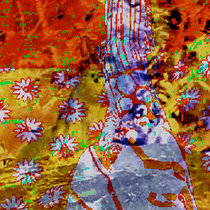 Medicine Calf "Rahu Forest"/ BDSR "Astralopithecus" cover art