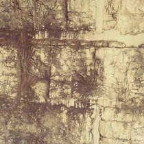 Local Crackers cover art