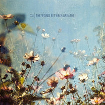 The World Between Breaths cover art