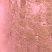 SHADOWLESS GOONS cover art