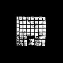 In Perpetuum Extraneis cover art