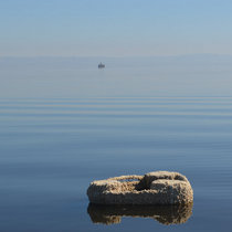 Basic Combustion cover art