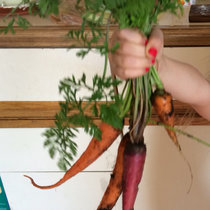 Artificial Organ (WHAT?? Mix) cover art