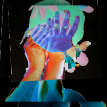 Polished Turds Vol 2 cover art