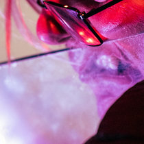 310125 San Diego (+stems) cover art