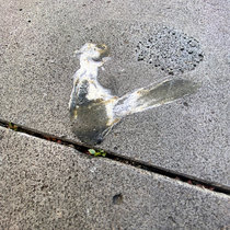 Self Portrait by Pigeon cover art