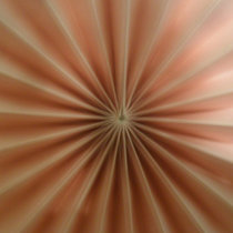 With Pulse,Without. cover art