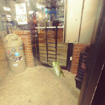 Summertime cover art