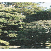 A Musical Experience About Generative Music: Cantil cover art