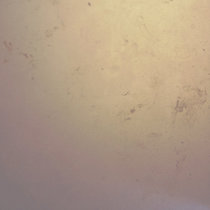 Achromic Pants cover art