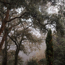 Mardi avant-midi cover art